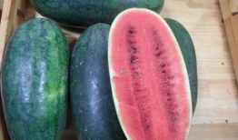 黑料吃瓜爆料网红精品,黑料吃瓜背后的精品爆料