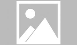 911红领巾吃瓜爆料僵尸,吃瓜爆料僵尸事件始末